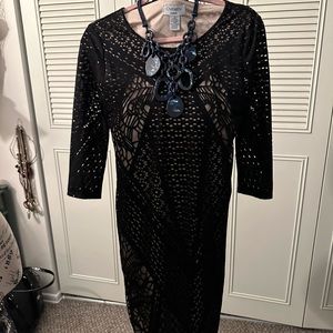 Bnwt long sleeved and over the knee black dress with skin tone under layer